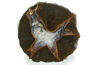 Colorful Polished Thunderegg Half - Nevada #337767
