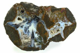 Colorful Polished Thunderegg Half - Nevada #337802