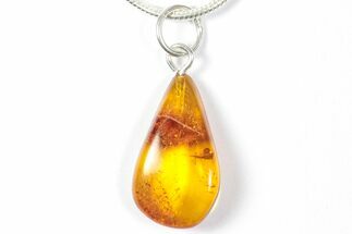 Polished Baltic Amber Pendant (Necklace) - Contains Beetle! #357933