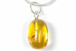 Polished Baltic Amber Pendant (Necklace) - Contains Fly! #357946
