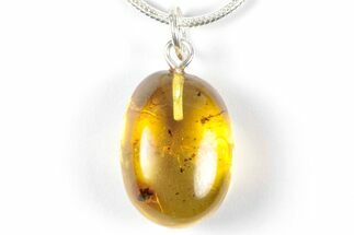Polished Baltic Amber Pendant (Necklace) - Contains Fly! #357972