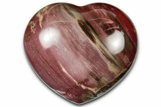 Polished Triassic Petrified Wood Heart - Madagascar #355631