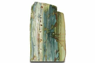 Free-Standing, Gary Green Jasper (Larsonite) Bog Wood - Oregon #334799