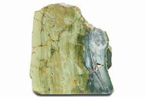 Gary Green Petrified Wood (Larsonite) For Sale - FossilEra.com