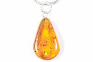 Polished Baltic Amber Pendant (Necklace) - Contains Fly! #357981