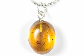 Polished Baltic Amber Pendant (Necklace) - Contains Fly! #358006