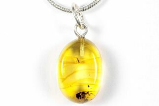 Polished Baltic Amber Pendant (Necklace) - Contains Fly! #358011