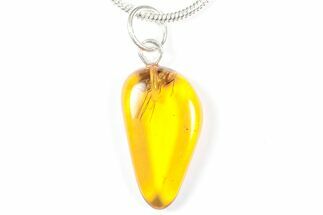 Polished Baltic Amber Pendant (Necklace) - Contains Fly! #358012