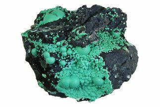 Blue-Green Botryoidal Chrysocolla - Planet Mine, Arizona #358223