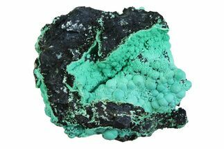 Blue-Green Botryoidal Chrysocolla - Planet Mine, Arizona #358226