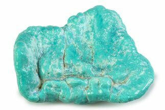 Polished Chilean Turquoise ( grams) Nugget #358821