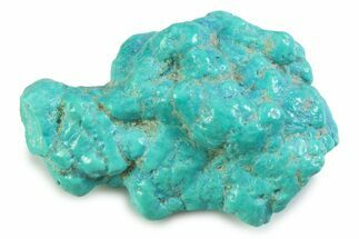 Polished Chilean Turquoise ( grams) Nugget #358837