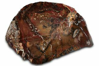 Vibrant Red and Yellow Jasper Slab - Nevada #358830