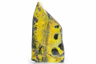 Very Vibrant, Free-Standing Polished Bumblebee Jasper #358627