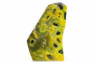 Very Vibrant, Polished Bumblebee Jasper #358632