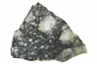 Polished Lunar Meteorite ( g) Slice - Aridal #360136