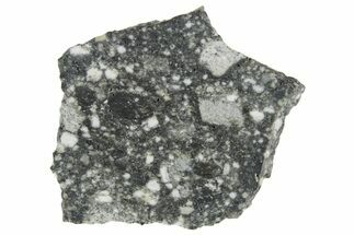 Polished Lunar Meteorite ( g) Slice - Aridal #360147