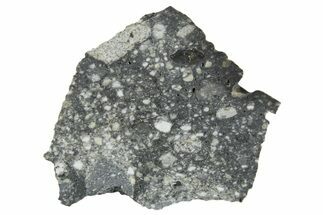 Polished Lunar Meteorite ( g) Slice - Aridal #360161