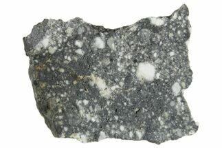 Polished Lunar Meteorite ( g) Slice - Aridal #360162