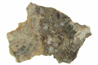 Lunar Meteorite ( g) Slice - Laayoune #360204