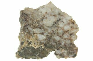 Lunar Meteorite ( g) Slice - Laayoune #360205