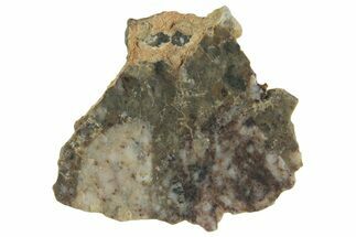 Lunar Meteorite ( g) Slice - Laayoune #360209