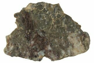 Lunar Meteorite ( g) Slice - Laayoune #360211