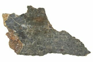 Lunar Meteorite ( g) Slice - Laayoune #360213