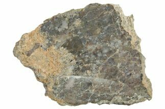 Lunar Meteorite ( g) Slice - Laayoune #360214