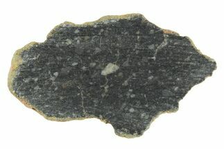 Polished Lunar Meteorite ( g) Section - NWA #360227