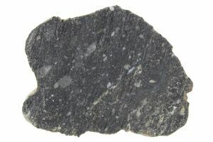 Lunar Meteorites - NWA 11273 For Sale - FossilEra.com