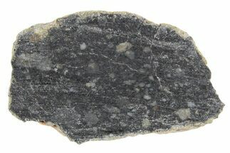Polished Lunar Meteorite ( g) Section - NWA #360246
