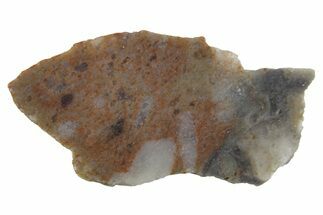 Lunar Meteorite Slice ( g) - NWA #360325