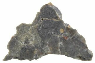 Lunar Meteorite Slice ( g) - NWA #360328