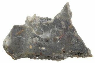 Lunar Meteorite Slice ( g) - NWA #360336