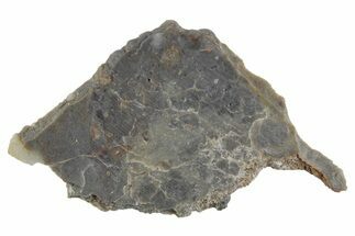 Lunar Meteorite Slice ( g) - NWA #360354