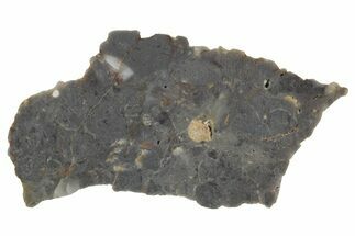 Lunar Meteorite Slice ( g) - NWA #360356