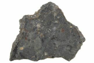 Lunar Meteorite Slice ( g) - NWA #360358