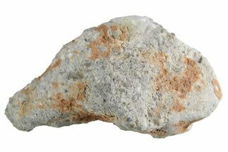 Lunar Meteorite ( g) - Bechar #360414