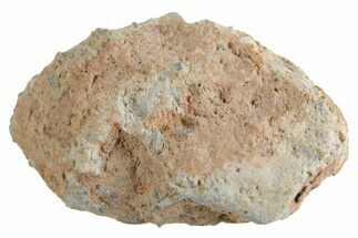 Lunar Meteorite ( g) - Bechar #360418