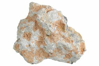 Lunar Meteorite ( g) - Bechar #360436