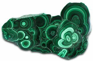 Flowery Polished Malachite Slab - DR Congo #360533