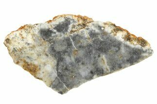Lunar Meteorite ( g) Slice - Bechar #360543