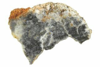 Lunar Meteorite ( g) Slice - Bechar #360546