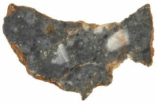 Lunar Meteorite ( g) Slice - Bechar #360548