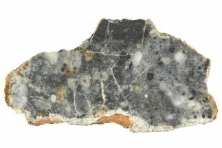 Lunar Meteorite ( g) Slice - Bechar #360562