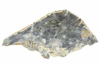 Lunar Meteorite ( g) Slice - Bechar #360564