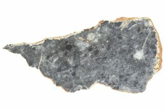 Lunar Meteorite ( g) Slice - Bechar #360565