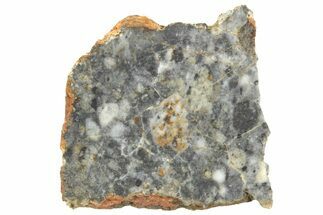 Lunar Meteorite ( g) Slice - Bechar #360570