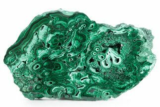 Flowery Polished Malachite Slab - DR Congo #360772